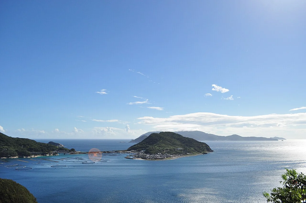 展望所から見た柏島と海